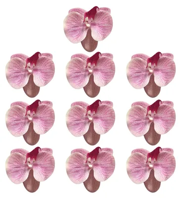 Produktbild von 10 künstliche Phalaenopsis-Blütenköpfe aus Seide, künstliche Orchideenköpfe für Hochzeitssträuße, DIY-Bastelarbeiten