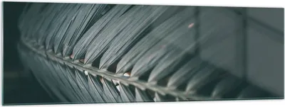 Produktbild von Bilder auf glas - Einteilig - Blatt Palme exotisch - 160x50cm - Glasbilder - Wandbilder - Bilder - zum Aufhängen bereit - Wanddekoration aus Glas - Glas Bilder - Wandbild auf Glas - GAB160x50-4907
