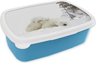 Produktbild von KitchenYeah® Lunchbox Brotzeit Brotdose 17x11 cm Eisbär - Schnee - Baum Kinder Brotzeitdose - Lunch - Kunststoff  - Brotbüchse - Sandwichbox - Lunchbox für Kinder