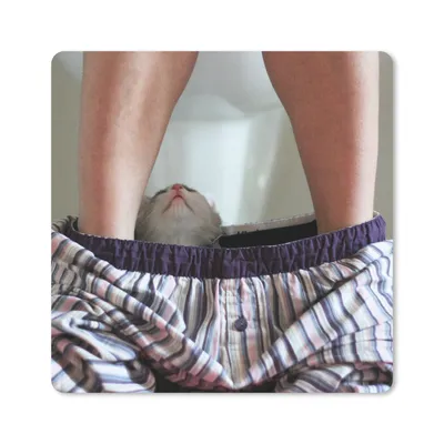 Produktbild von MuchoWow® Mauspad Mousepad Katze - Hose - Toilette 20x20 cm - Mousepads - Maus Mat - Pad - Mausunterlage - Desk Mat - Bureauartikeln