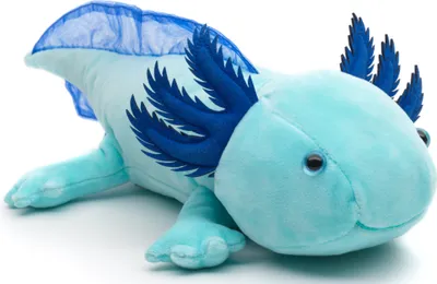 A plush toy axolotl is shown lying on a white background.