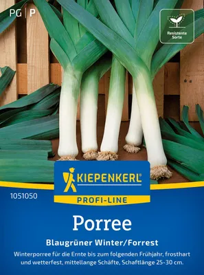Produktbild von Kiepenkerl Porreesamen Blaugrüner Winter Forrest Allium porrum 130 Pflanzen
