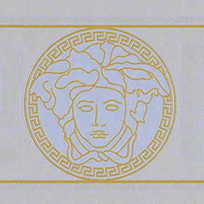 Zdjęcie produktu dla A.S. Creation Versace 3 | 935225 | bordiury z włókniny | 0.13 m x 5 m | srebrny