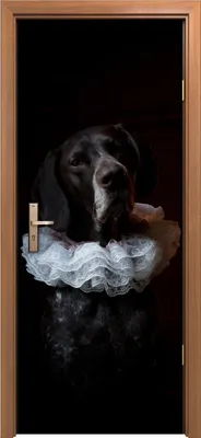 Produktbild von Türposter 80x200 cm Türaufkleber Türtapete Türfolie Klebefolie Kunst Tiere Hund Haustier