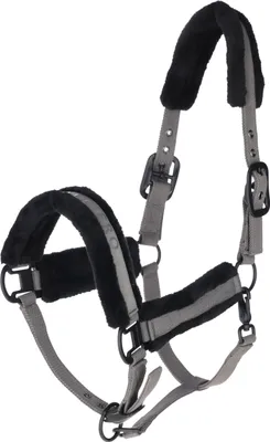 Immagine prodotto di Covalliero Halfter HW 2025 Stallhalfter Steel Grey Full