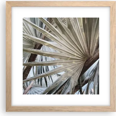 Produktbild von Gerahmtes Poster - Rahmen in heller Eiche - Blatt Palme Natur - 30x30 cm - Wand Bild - Wanddeko - Wandbilder - Kunstposter - Wandposter - Bilderrahmen - Bilder - Kunstdruck - P2NAC30x30-5056