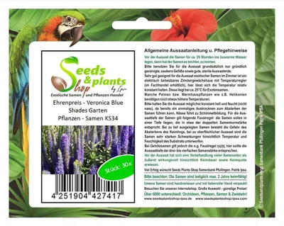Zdjęcie produktu dla 30x Przetacznik - Veronica Blue Shades Rośliny ogrodowe - Nasiona KS34