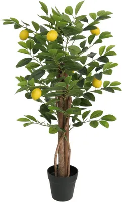 Zdjęcie produktu dla Sztuczne drzewko cytrynowe z 3 pniami zielone 85 cm PP