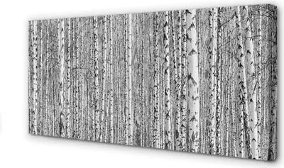 Produktbild von Leinwandbild 120x60 Wandkunst Schwarz-Weiß-Baum Wald