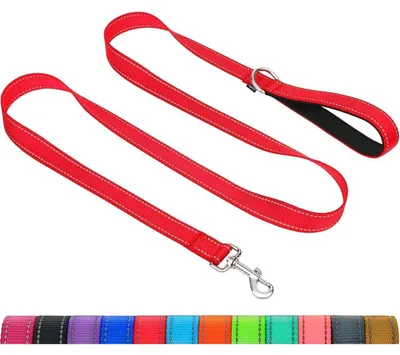 Productafbeelding van Hondenriem, medium formaat, reflecterend, 1,2 m x 2,5 cm (verpakking met 1 stuk), rood