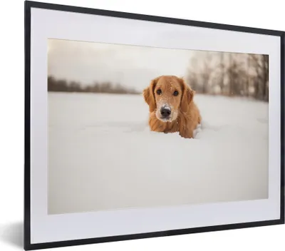 Produktbild von MuchoWow® MuchoWow® Gerahmtes Poster Hund - Schnee - Winter 40x30 cm - Poster mit zchwarzem Bilderrahmen - Bilderrahmen - Poster im Rahmen