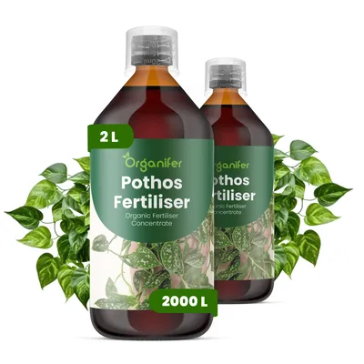 Zdjęcie produktu dla Pothos Nawóz Płynny 2x1 L – 2-1-8 NPK – Do Pothos – Podporuje Stabilne Korzenie i Równomierny Wzrost Listov – Organifer