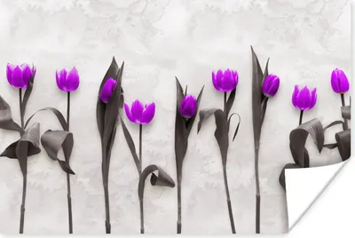 Produktbild von MuchoWow® Poster Blumen - Tulpen - Lila 60x40 cm - Schlafzimmerdekoration