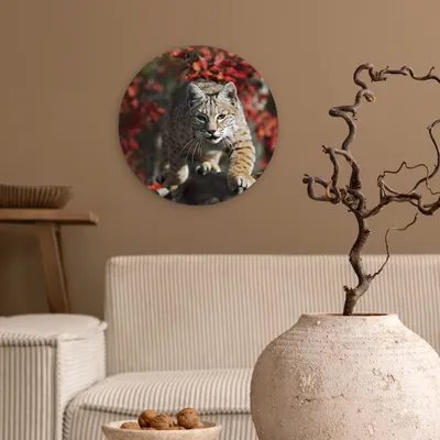 Produktbild von MuchoWow® - Schlafzimmer - Bilder - Der Kreis - Kunst für die Wohnung - Plastik - Kunstdruck - Wandbild