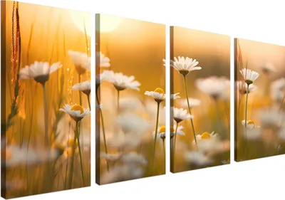 Produktbild von Wandbild Wanddeko Margeriten auf Leinwand - ökologische Tinte, Wasserfest - 4 Teilig 80x160 cm Leinwandbilder für wohnzimmer, schlafzimmer