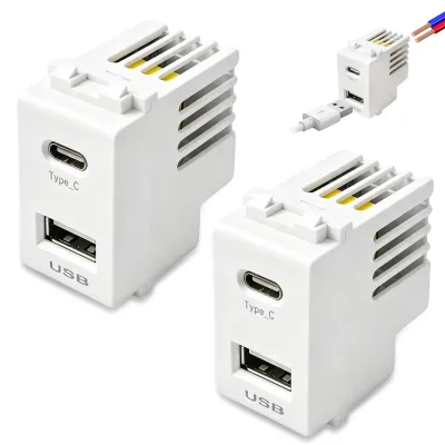 2 USB-Netzmodule 220V auf 5V 2,1A Doppelport USB-A+USB-C
