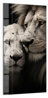Productafbeelding van Glazen Magnetisch Memobord 50 x 100 cm