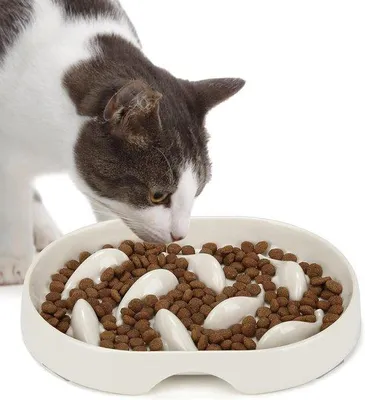 Produktbild von Langsamer Futternapf für Katzen und kleine Hunde rosa Antirutsch