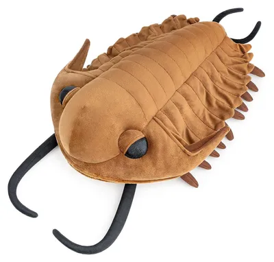 Produktbild von Weiches Plüsch-Dreieckskissen für Kinder, 40 cm