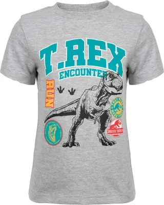 Produktbild von Jurassic World T-Rex Kinder Jungen kurzarm T-Shirt Shirt – Grau / 92