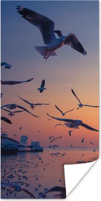 Produktbild von MuchoWow® Poster Möwen - Meer - Sonnenuntergang 20x40 cm - Plakat - Foto