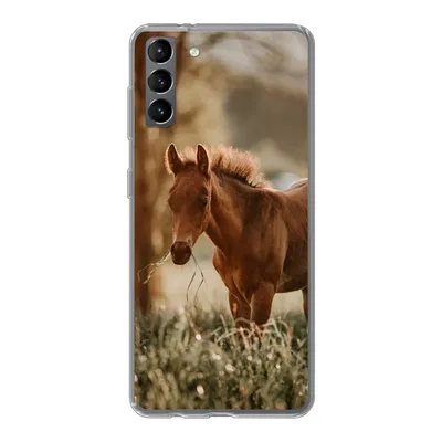 Produktbild von MuchoWow® Handyhülle Schutzhülle Hülle für Samsung Galaxy S21 Plus Pferd - Licht - Wiese Silikon Softcase Handy Hülle - Handy-Tasche