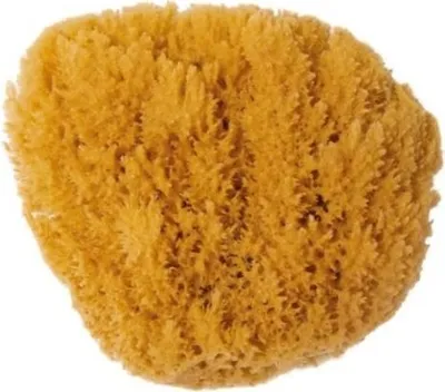Produktbild von Naturschwamm Grass 14-16, ca.14-16 cm