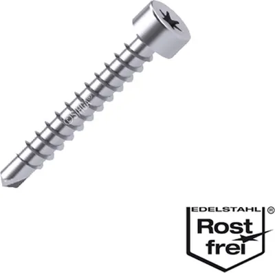 Produktbild von BohrFix FB 600 Stück  4,2 x 17 mm, Edelstahl rostfrei, TX 20, Vollgewinde im montagepack inkl. SIHGAFIX Edelstahl rostfrei TX 20 im Wert von Euro 8,00