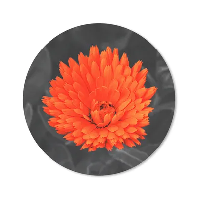 Produktbild von MuchoWow® Mauspad Mousepad Blumen - Orange - Schwarz - Weiß 20x20 cm - Mousepads - Maus Mat - Pad - Mausunterlage - Schreibtischmatte