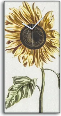 Produktbild von Wanduhr Bürouhr Leinwand Bild Geräuschlos 30x60 Gemälde Blumen Pflanzen Kunst - weiße Hände