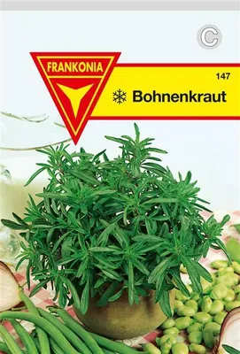 Produktbild von Bohnenkraut