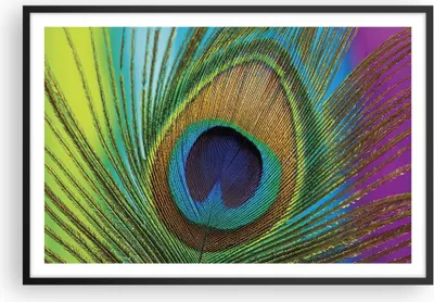 Produktbild von Gerahmtes Poster - Schwarzer Rahmen - Pfauen Federn Regenbogen - 91,5x61 cm - Wand Bild - Wanddeko - Wandbilder - Kunstposter - Wandposter - Bilderrahmen - Bilder - Kunstdruck - P2BAA91x61-4385