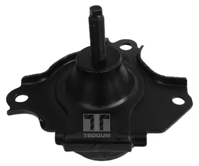 Produktbild von TEDGUM Halter Motoraufhängung 00262046 vorne rechts für HONDA CR-V II (RD_)