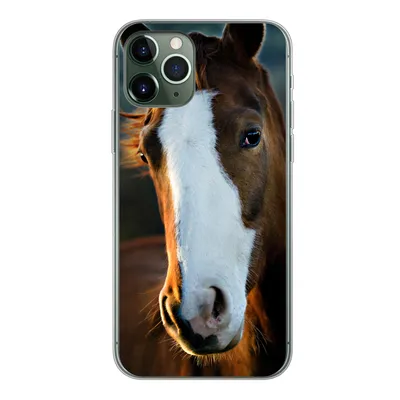 Produktbild von MuchoWow® Handyhülle Schutzhülle Hülle für iPhone 11 Pro Pferd - Kopf - Licht Silikon Softcase Handy Hülle - Handy