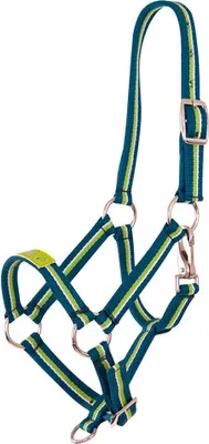 Produktbild von Premiere Fun Halfter Blau Foal Blau Foal
