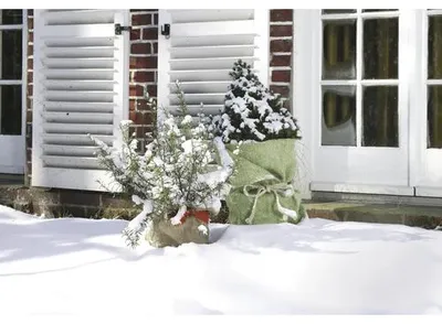 Produktbild von Winterschutz Videx Winterschutzmatte Jute Filz 150x50 cm