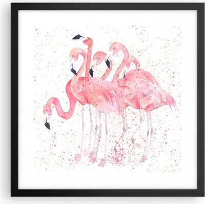 Produktbild von Gerahmtes Poster - Schwarzer Rahmen - Flamingo Vogel Wasser - 40x40 cm - Wand Bild - Wanddeko - Wandbilder - Kunstposter - Wandposter - Bilderrahmen - Bilder - Kunstdruck - Wandbild - P2BAC40x40-3899