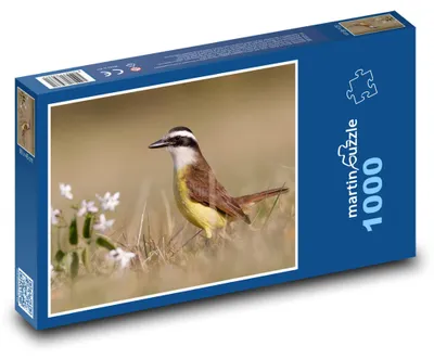 Obrázek produktu pro martinpuzzle - Puzzle 1000 - Tyran bentevi - pták