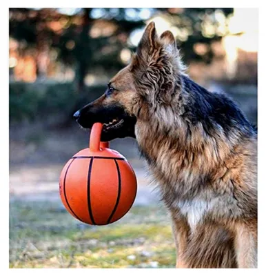 Produktbild von Jumball Ball für mittelgroße und große Hunde mit hartem Gummi-Griff