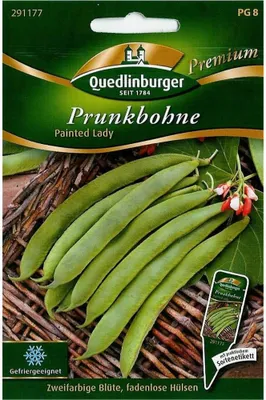 Produktbild von Prunkbohne, Painted Lady