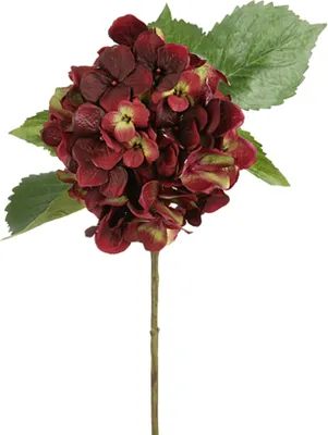 Produktbild von Fink HORTENSIE, Kunstblume, Kunstfasern, grün, aubergine, L. 66 cm Tiefe: 66.00cm  181967