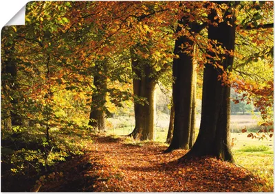 Produktbild von ARTland Poster Herbstfarben Größe: 70x50 cm