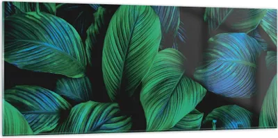 Produktbild von Bilder auf glas - Einteilig - Blätter Pflanzen Exotik - 120x50cm - Glasbilder - Wandbilder - Bilder - zum Aufhängen bereit - Wanddekoration aus Glas - Glas Bilder - Wandbild auf Glas - GAB120x50-5066