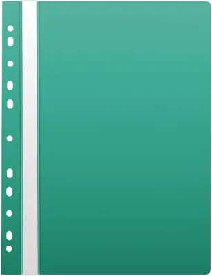 Zdjęcie produktu dla Karton P+P Segregator A4 PP MINT Eurofold 2-482