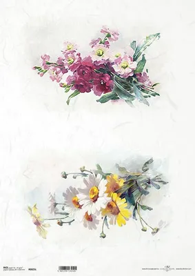 Immagine prodotto di ITD carta di riso per decoupage, A3 825L fiori di primavera, camomilla