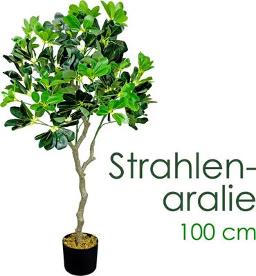 Immagine prodotto di Pianta Albero Artificiale Schefflera Arboricola 100 cm Decovego