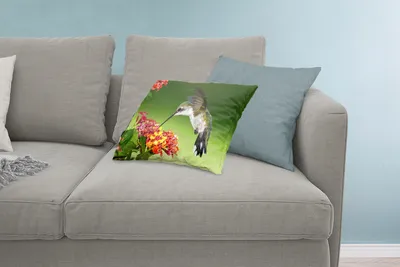 Produktbild von MuchoWow® Zierkissen Sofakissen Wohnzimmer Dekokissen 60x40 cm Kolibri - Blume - Vogel - Kopfkissen - Polster mit Foto
