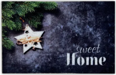 Zdjęcie produktu dla Wycieraczka świąteczna Astra 40x60cm 954 Sweet Home gałązka jodły