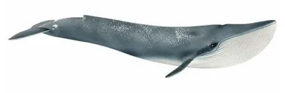 Image de Figurine Baleine bleue, jouet détaillé, Schleich 14806 Wild Life, des 5 ans