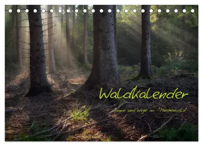 Produktbild von Waldkalender (Tischkalender 2027 DIN A5 quer), CALVENDO Monatskalender